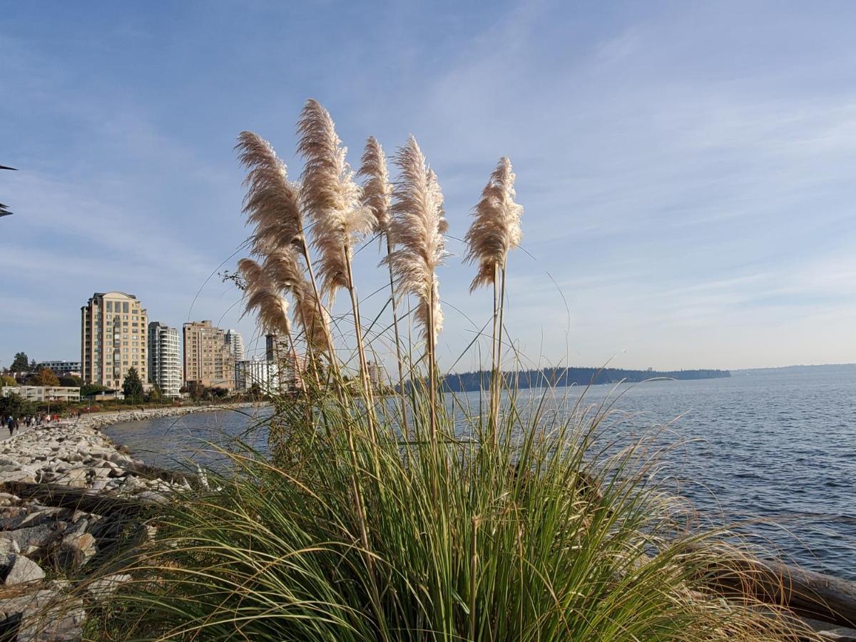 Your Alternative To A Five Star Hotel - Premium Location Vancouver Exterior photo
